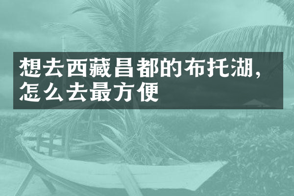 想去西藏昌都的布托湖，怎么去最方便