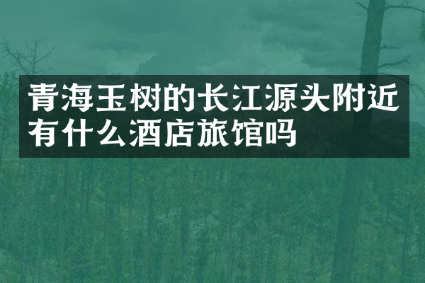 青海玉树的长江源头附近有什么酒店旅馆吗