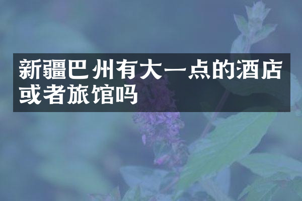 新疆巴州有大一点的酒店或者旅馆吗