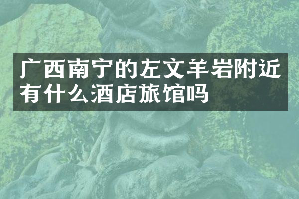 广西南宁的左文羊岩附近有什么酒店旅馆吗