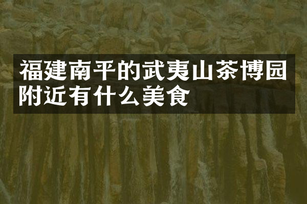 福建南平的武夷山茶博园附近有什么美食