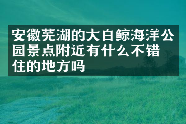 安徽芜湖的大白鲸海洋公园景点附近有什么不错的住的地方吗