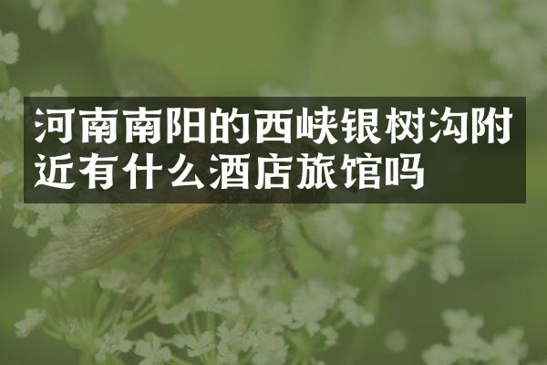 河南南阳的西峡银树沟附近有什么酒店旅馆吗