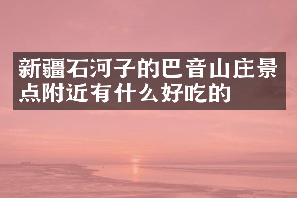 新疆石河子的巴音山庄景点附近有什么好吃的