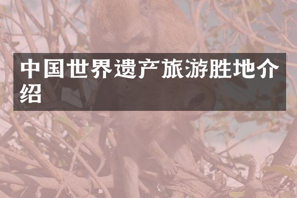 中国世界遗产旅游胜地介绍