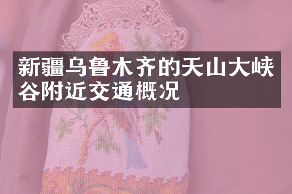 新疆乌鲁木齐的天山大峡谷附近交通概况