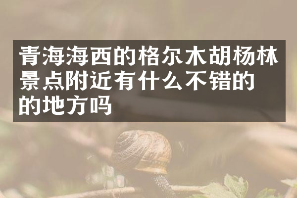 青海海西的格尔木胡杨林景点附近有什么不错的住的地方吗