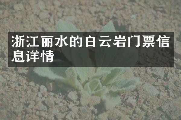 浙江丽水的白云岩门票信息详情
