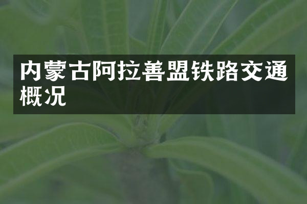 内蒙古阿拉善盟铁路交通概况