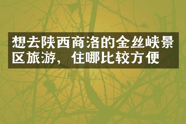 想去陕西商洛的金丝峡景区旅游，住哪比较方便