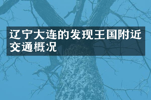 辽宁大连的发现王国附近交通概况
