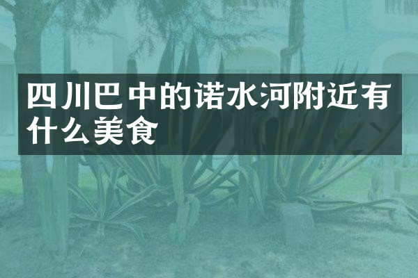 四川巴中的诺水河附近有什么美食