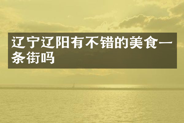 辽宁辽阳有不错的美食一条街吗
