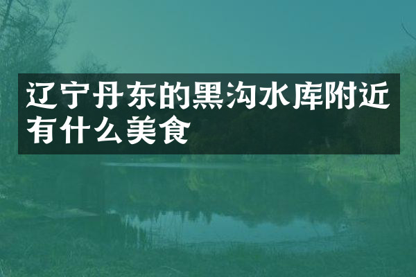 辽宁丹东的黑沟水库附近有什么美食