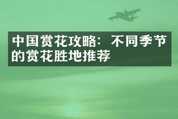 中国赏花攻略：不同季节的赏花胜地推荐
