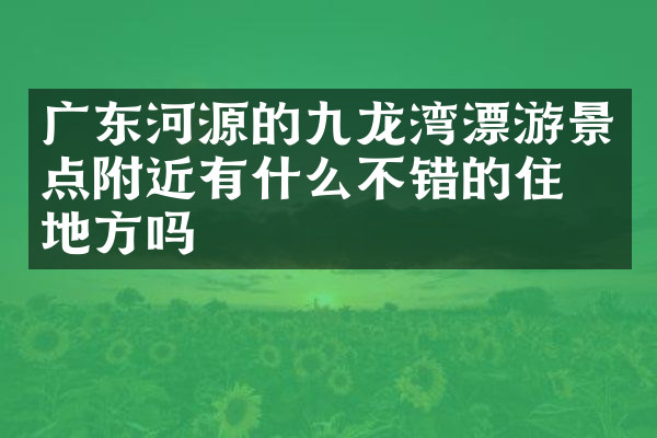 广东河源的九龙湾漂游景点附近有什么不错的住的地方吗