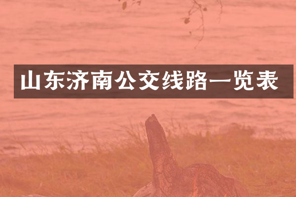 山东济南公交线路一览表