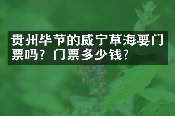 贵州毕节的威宁草海要门票吗？门票多少钱？