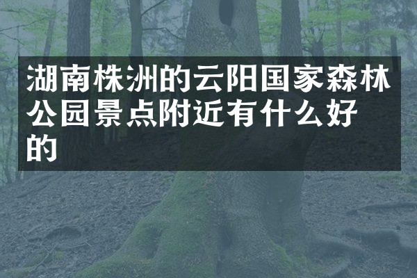 湖南株洲的云阳国家森林公园景点附近有什么好吃的
