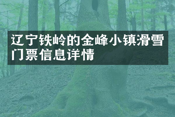 辽宁铁岭的金峰小镇滑雪门票信息详情