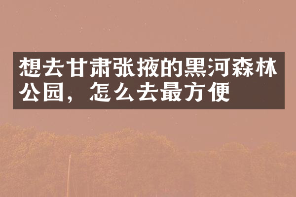 想去甘肃张掖的黑河森林公园，怎么去最方便