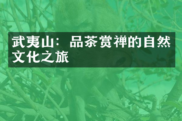 武夷山：品茶赏禅的自然文化之旅