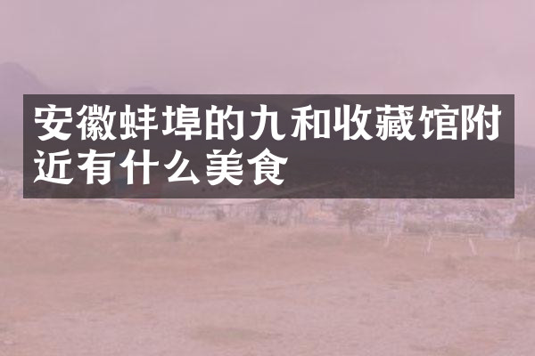 安徽蚌埠的九和收藏馆附近有什么美食