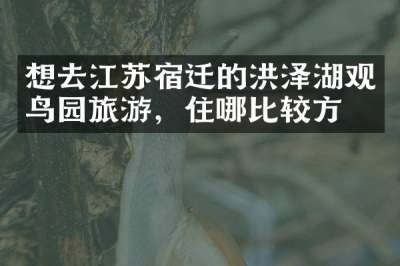 想去江苏宿迁的洪泽湖观鸟园旅游，住哪比较方便