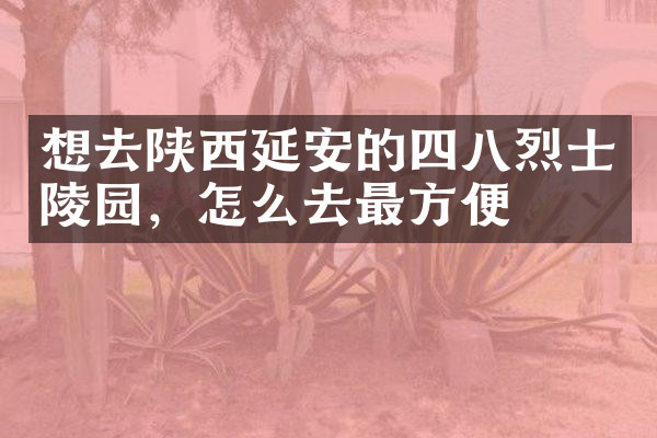想去陕西延安的四八烈士陵园，怎么去最方便