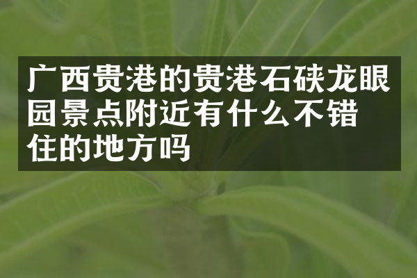 广西贵港的贵港石硖龙眼园景点附近有什么不错的住的地方吗