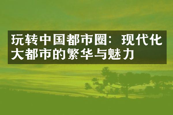 玩转中国都市圈：现代化大都市的繁华与魅力
