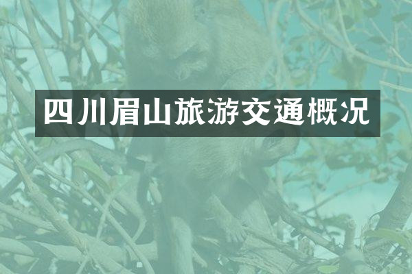 四川眉山旅游交通概况