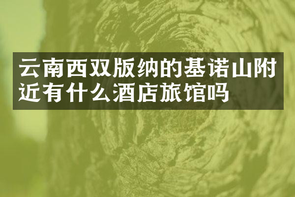 云南西双版纳的基诺山附近有什么酒店旅馆吗