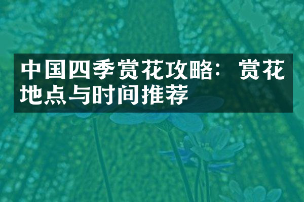 中国四季赏花攻略：赏花地点与时间推荐