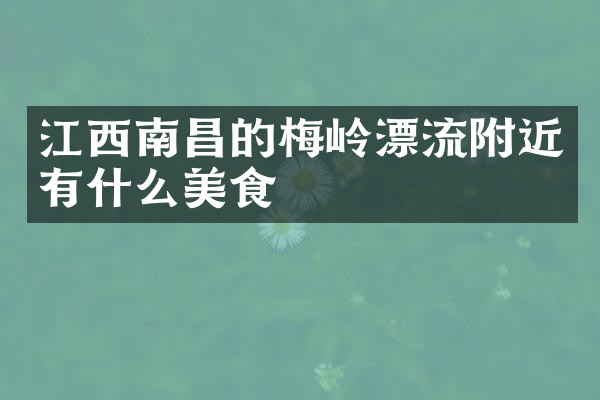 江西南昌的梅岭漂流附近有什么美食