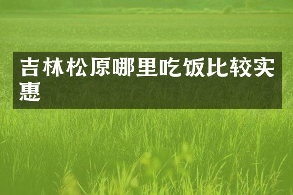 吉林松原哪里吃饭比较实惠