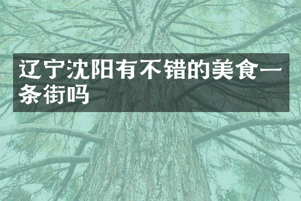 辽宁沈阳有不错的美食一条街吗
