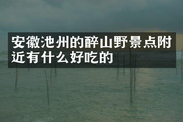 安徽池州的醉山野景点附近有什么好吃的
