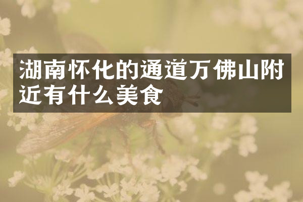 湖南怀化的通道万佛山附近有什么美食