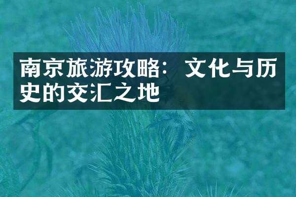 南京旅游攻略：文化与历史的交汇之地