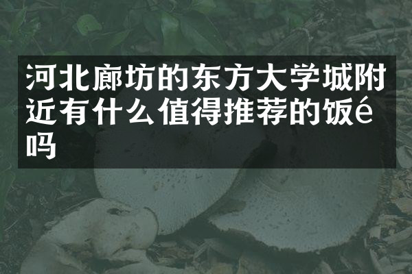 河北廊坊的东方大学城附近有什么值得推荐的饭馆吗