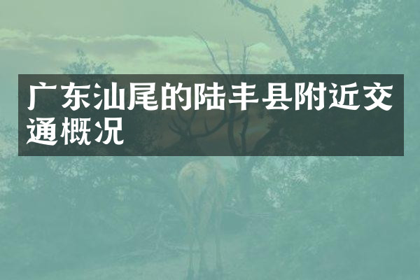 广东汕尾的陆丰县附近交通概况