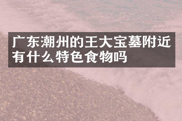 广东潮州的王大宝墓附近有什么特色食物吗