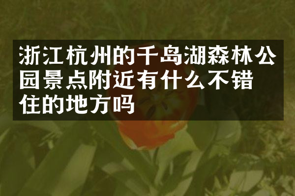 浙江杭州的千岛湖森林公园景点附近有什么不错的住的地方吗