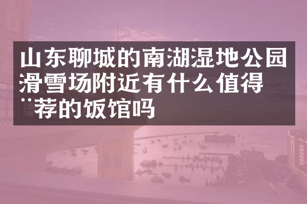 山东聊城的南湖湿地公园滑雪场附近有什么值得推荐的饭馆吗