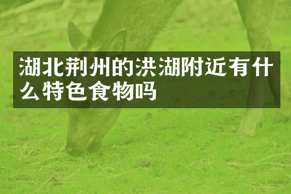 湖北荆州的洪湖附近有什么特色食物吗