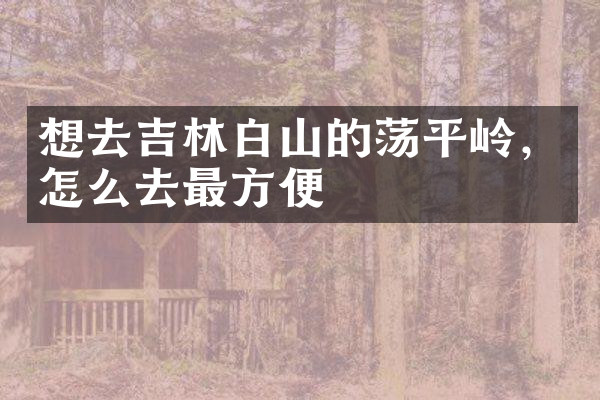 想去吉林白山的荡平岭，怎么去最方便