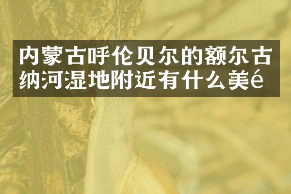 内蒙古呼伦贝尔的额尔古纳河湿地附近有什么美食