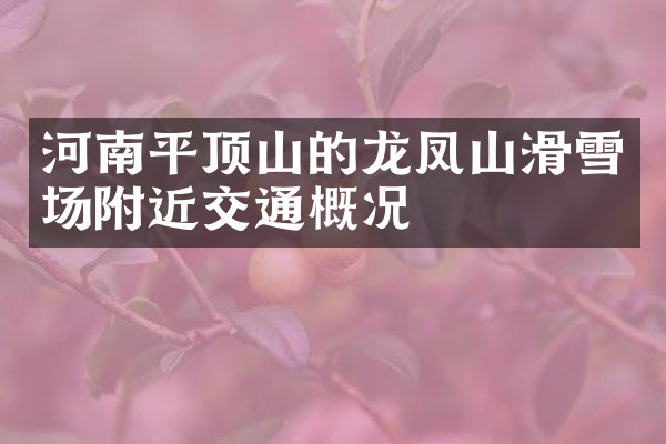 河南平顶山的龙凤山滑雪场附近交通概况