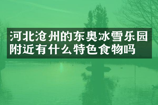 河北沧州的东奥冰雪乐园附近有什么特色食物吗